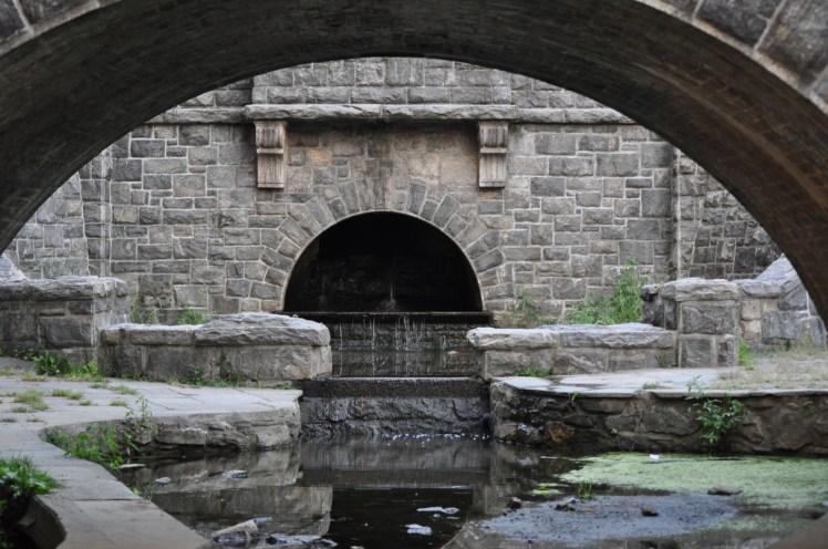 DSC_0018 (2)